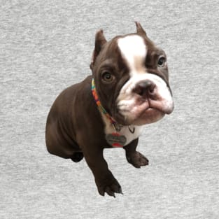 American Bully T-Shirt